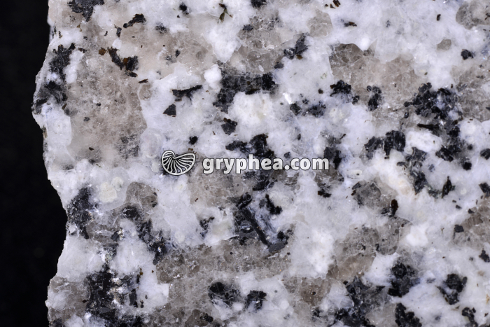 Granite sain (vue macroscopique) - gryphea.com